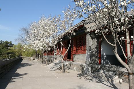 陶然亭慈悲庵1.jpg